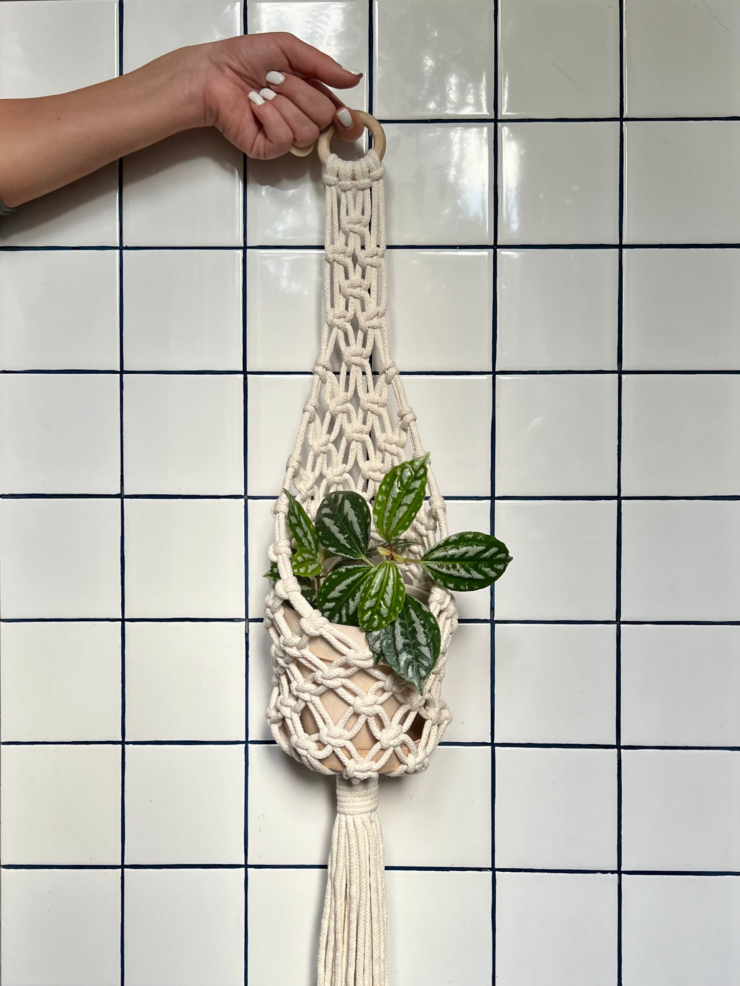 La suspension panier