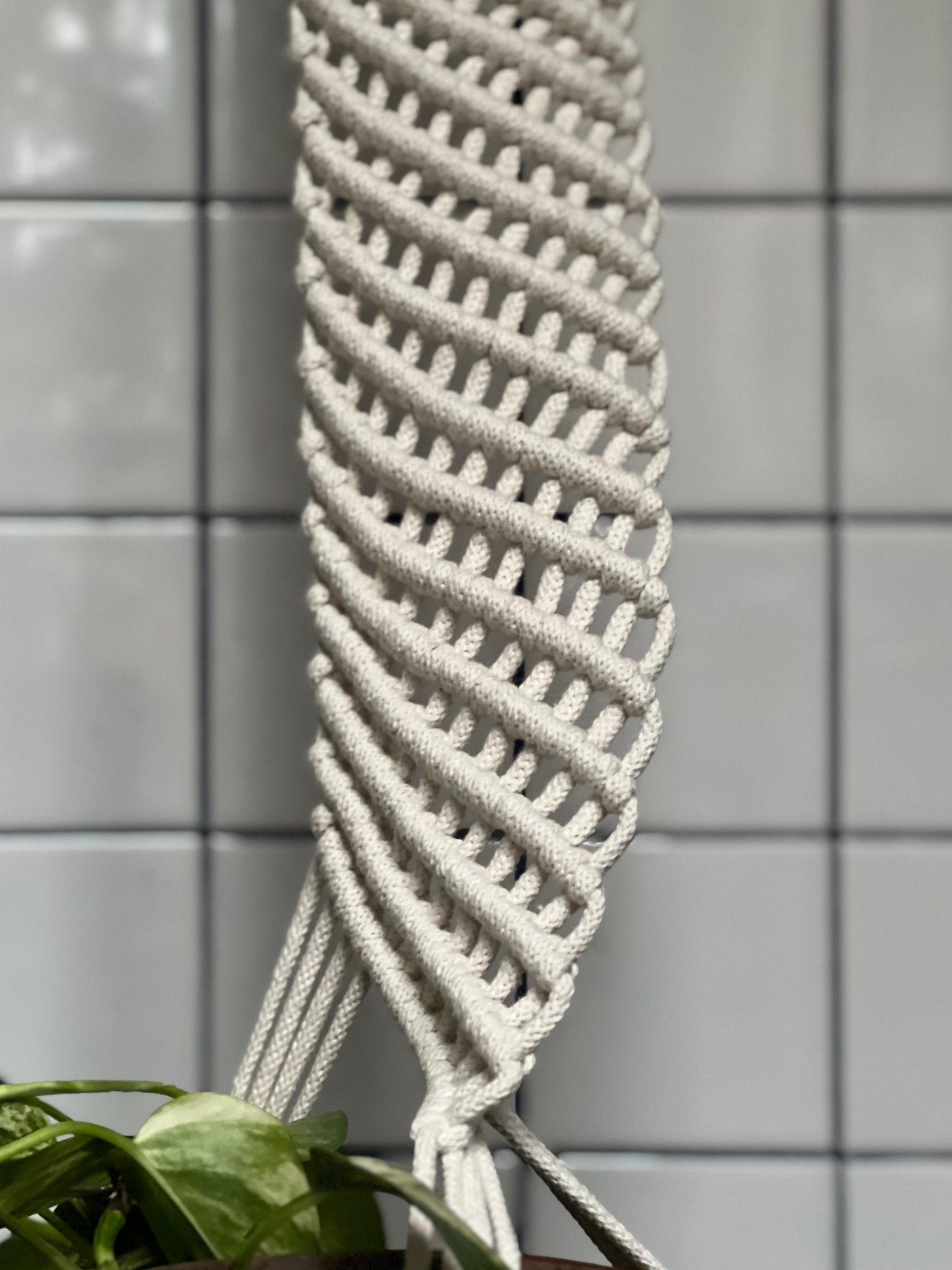 La suspension spirale